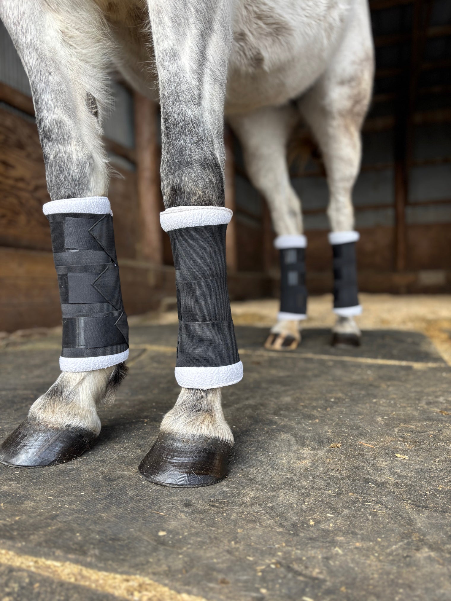 How to Wrap a Horse’s Leg: Your Easy Step-by-Step Guide.